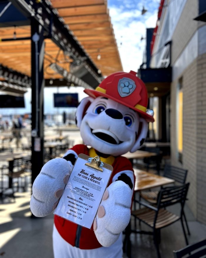 Beertown Introduces Dog-Friendly Menu