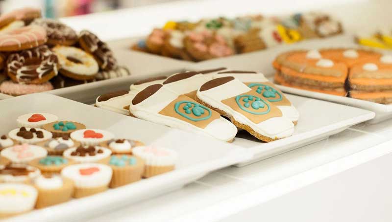 The Bone & Biscuit Company Expands To Ontario With 8 New Stores By 2019