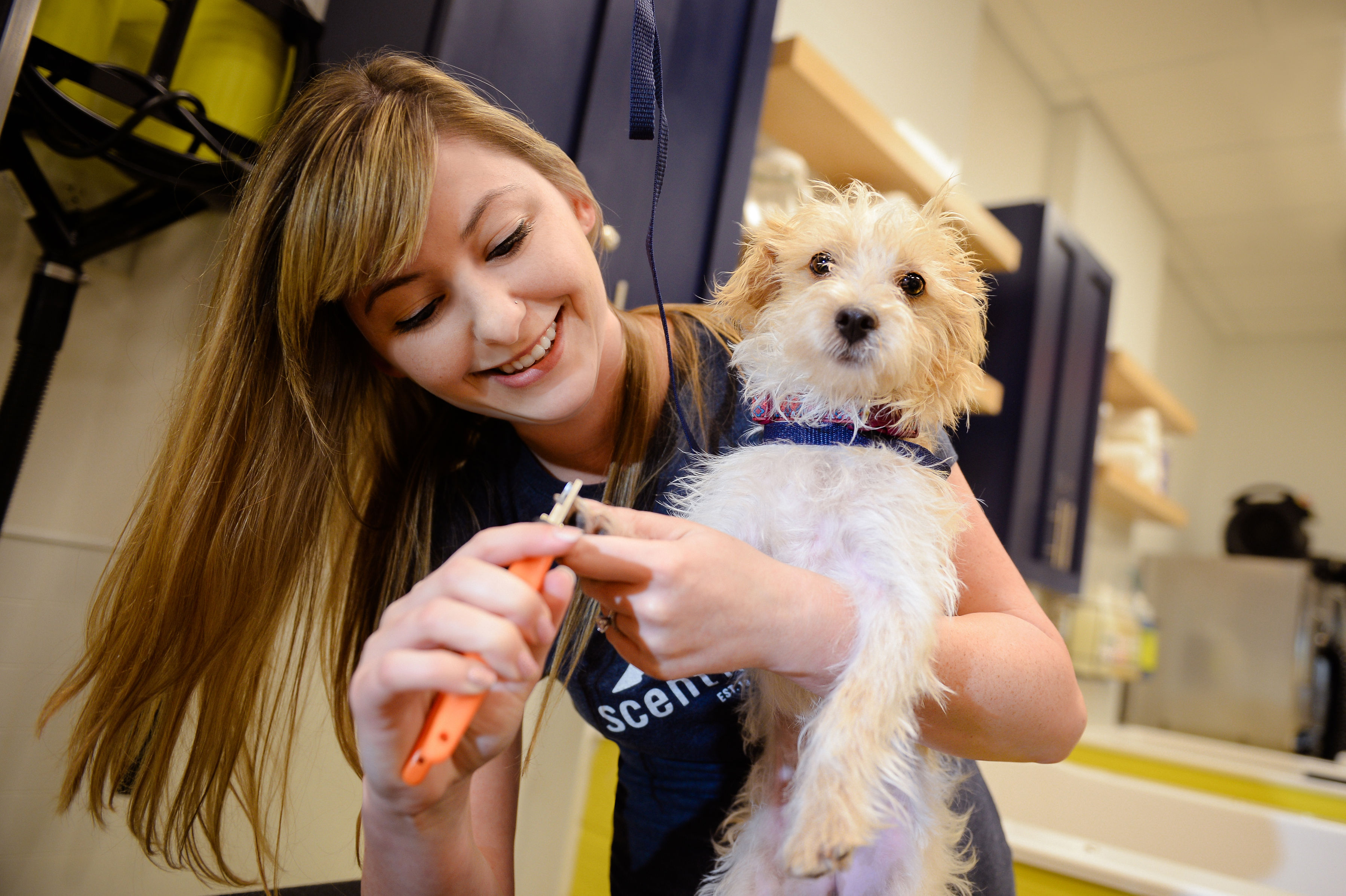 Scaling Smart: Lessons From a Multi-Unit Franchisee Growing from One Location to Three