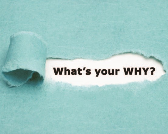 The Power of Purpose: How Purpose-Led Brands Thrive in Today's Market