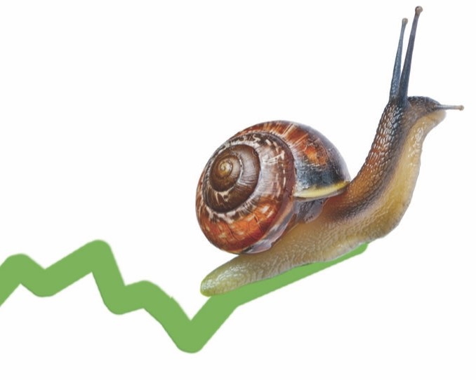 Economic growth is barely limping along, businesses encouraged to seek help and support