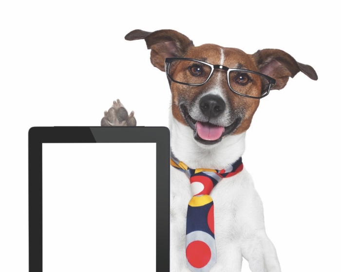 Fur Babies - What To Look Out For If You Buy A Pet Franchise
