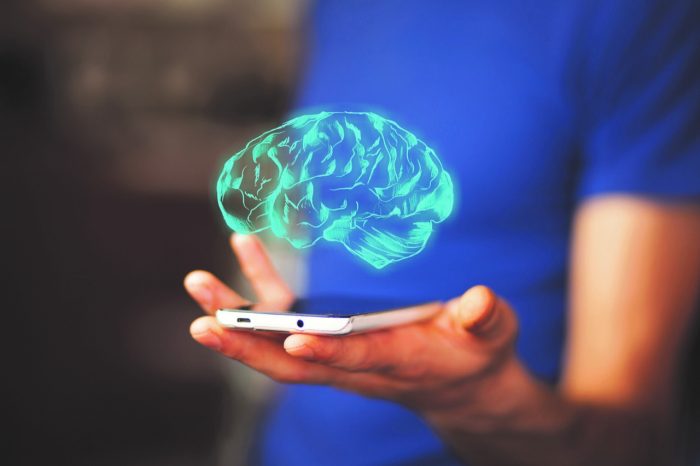 The Integral Role of Intellectual Property Protection in Safeguarding Your Franchise’s Future