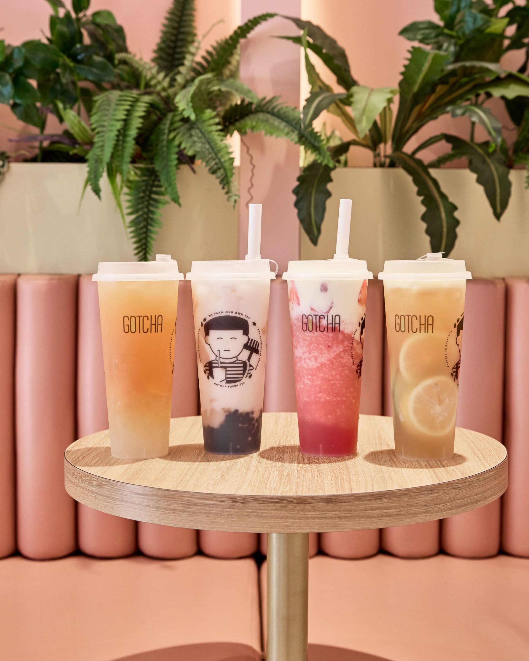 Gotcha Fresh Tea bursts into new Australian locations and expands globally