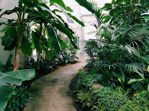 How to Start a Landscaping Business