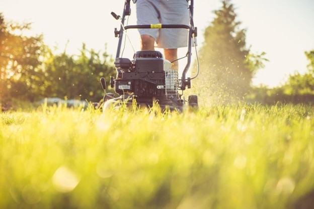 How to Select the Right Lawn Mower
