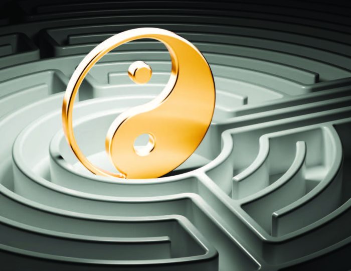 Strategy and Growth: The Yin and Yang of Franchise Success