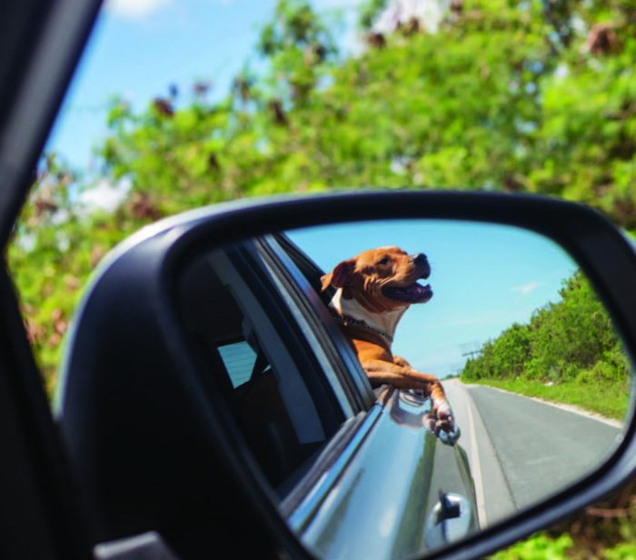 ON THE ROAD AGAIN - MOBILE V FIXED SITE FRANCHISES