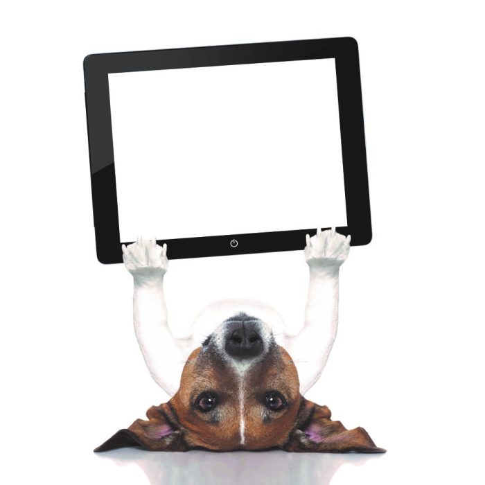 Franchising a pet business can be tricky.