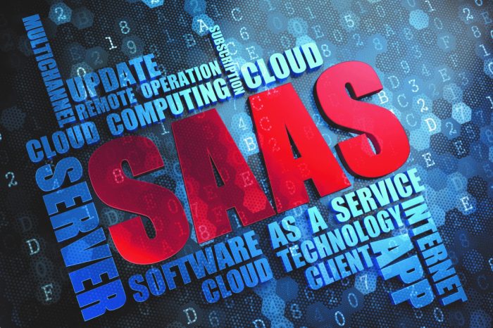 Franchise success in the SaaS lane