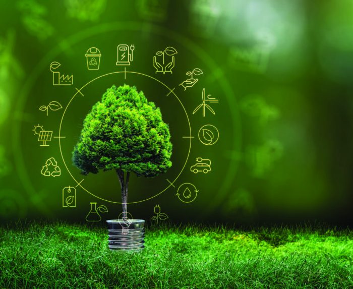 The Rise of Purpose-Driven Franchising in Australia