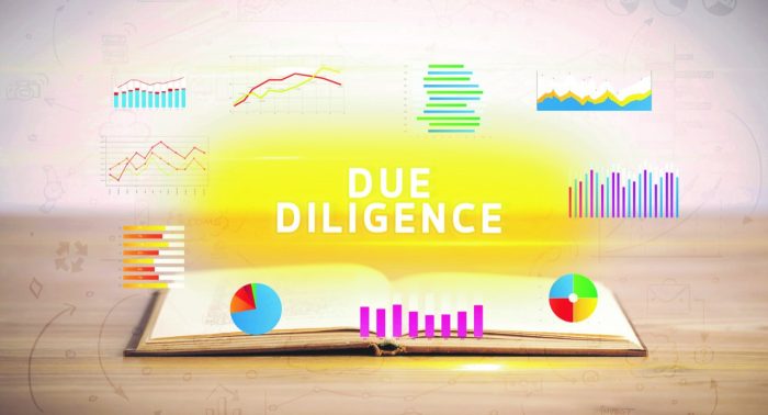 Financial Due Diligence