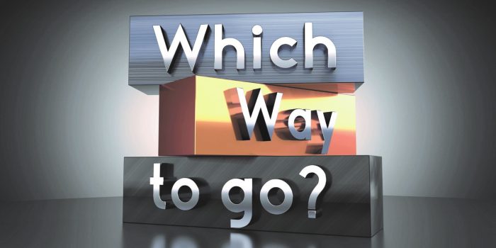 Build or Buy? Choosing Between a New Franchise Territory and an Existing Business