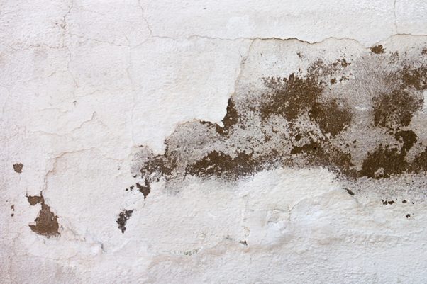 Water Damage in Your Home: Common Issues That Can Arise