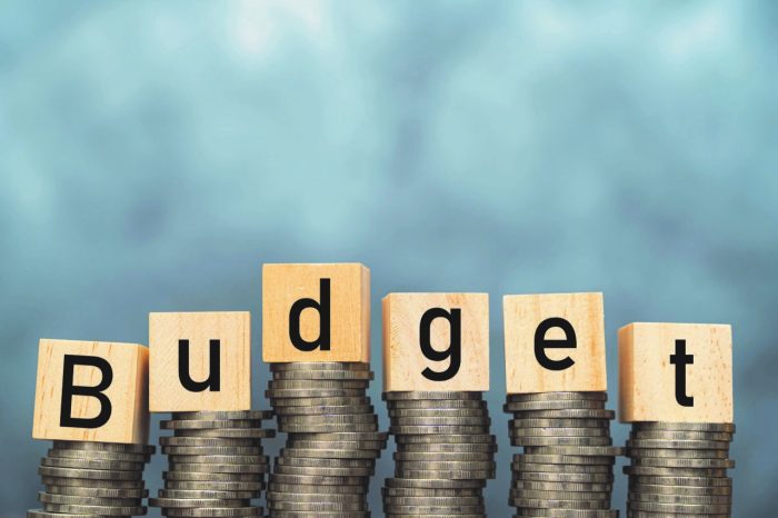 Franchises in your budget