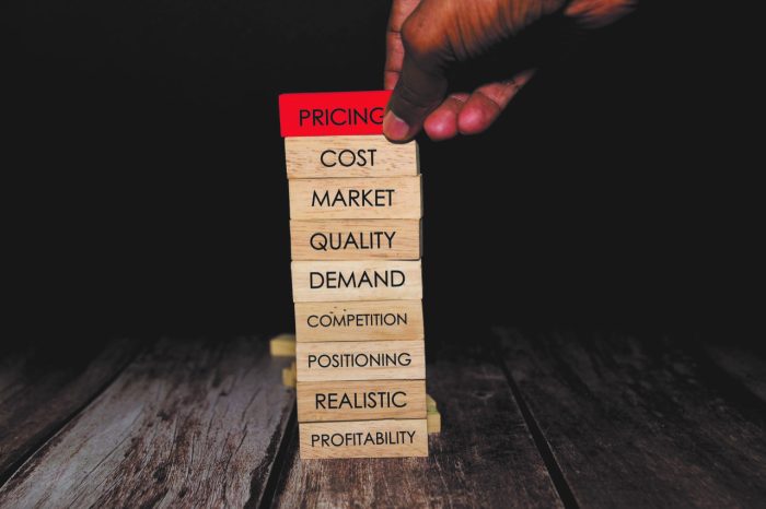 The Sales Factor: Why Your Ability to Sell Matters More Than the Franchise Fee