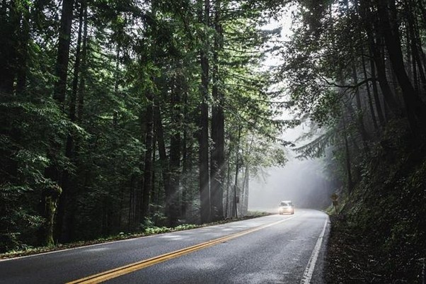 Best Tips to Prepare for a Summer Road Trip