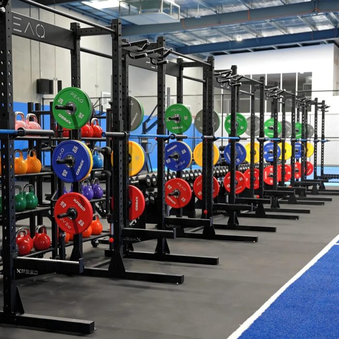 Buy Fitness Equipment Online In Australia By Picking The Best Equipment For Your Home Gym