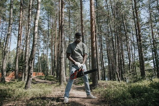 A Brisbane Southside Tree Removal Vendor Guide