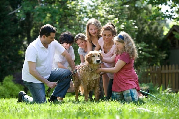 A Practical Guide to Choosing the Right Family Dog in Australia